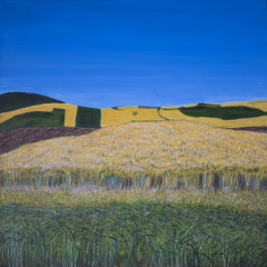 Gold and Green Field; Original Painting; Denise Gracias