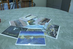 Greeting Cards; Joyful Art; Denise Gracias